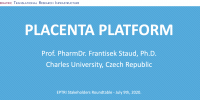Schermata 2020-07-31 alle 14.34.31