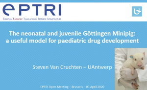 video ìThe neonatal Göttingen Minipig: a useful model for paediatric drug development