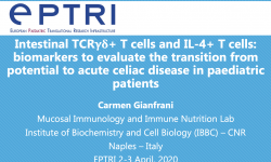 ntestinal TCRγδ+ T cells and IL-4+ T cells: biomarkers to evaluate the transition from potential to acute celiac disease in paediatric patients